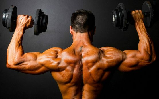 Testosterona y sus derivados: ¿qué son y en qué se diferencian? Testosterona y sus derivados: ¿qué son y en qué se diferencian?