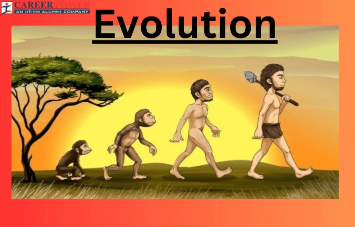 The History Of Sports Betting: From Antiquity To 2025 The History Of Sports Betting: From Antiquity To 2025